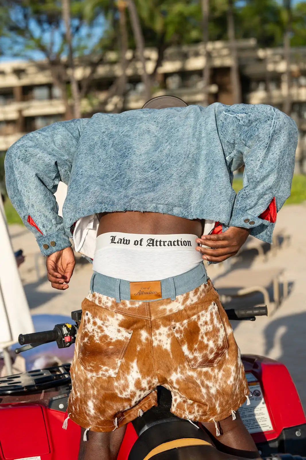 Back view of a cropped blue denim jacket, white branded waistband, and brown-and-white cowhide shorts.