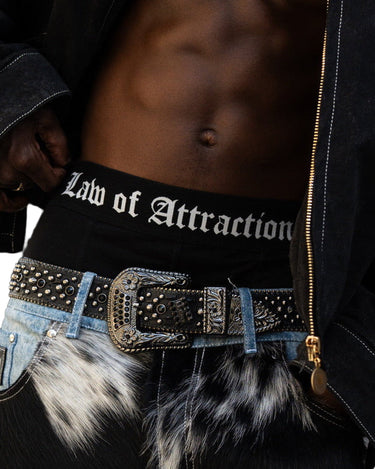 Law of Attraction Cotton Boxer Briefs — 2-Pack — Model / lifestyle